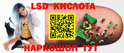 шишки Конаково