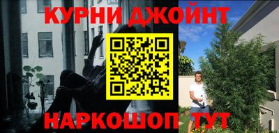 шишки Конаково