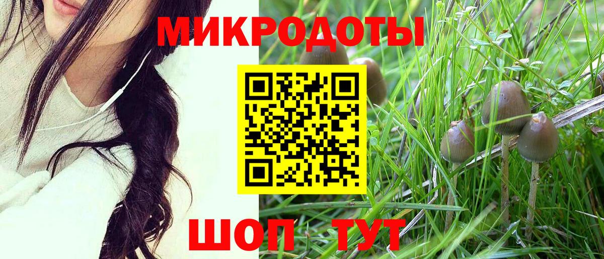 Псилоцибиновые грибы мухоморы Клин