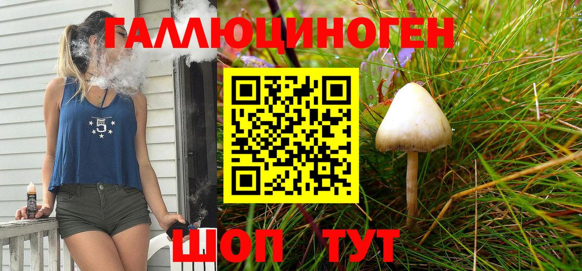 Псилоцибиновые грибы Psilocybe  Галлюциногенные грибы мицелий  Вход с VPN  Клин 